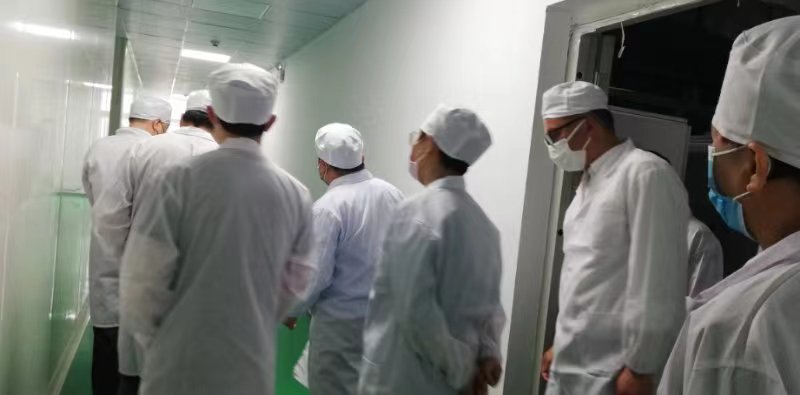 湖北省藥品監(jiān)督管理局朱與杰副局長一行來公司調研